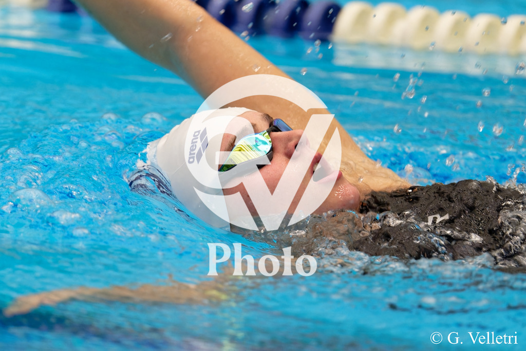 DSC_3904 | Velletri Photo