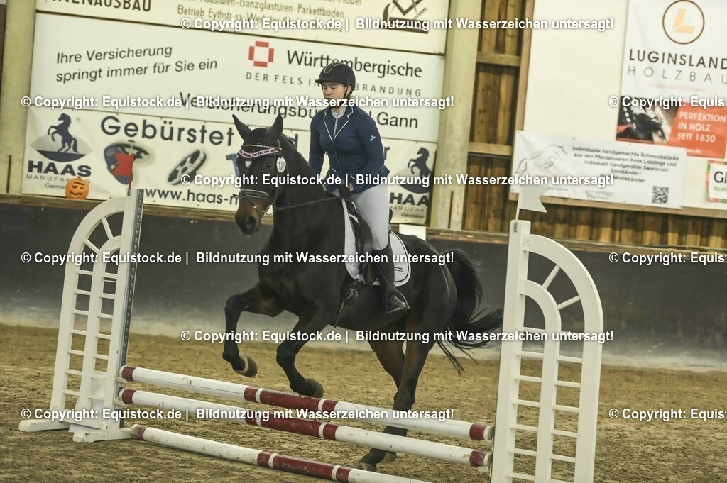 20231029_07_Stilspring-WB-50cm_0086 | Foto: Thomas Hartig