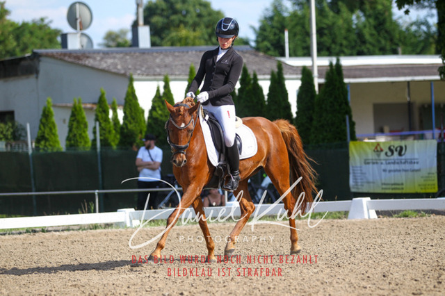 DKP43066 | Turnierfotos kaufen im Webshop von Daniel Kuhl Photography – entdecke professionelle Reitsportfotos aus Turnieren & Events. Hochwertige Turnierbilder online bestellen & sichern. Jetzt Fotos von Reitsportturnieren kaufen!