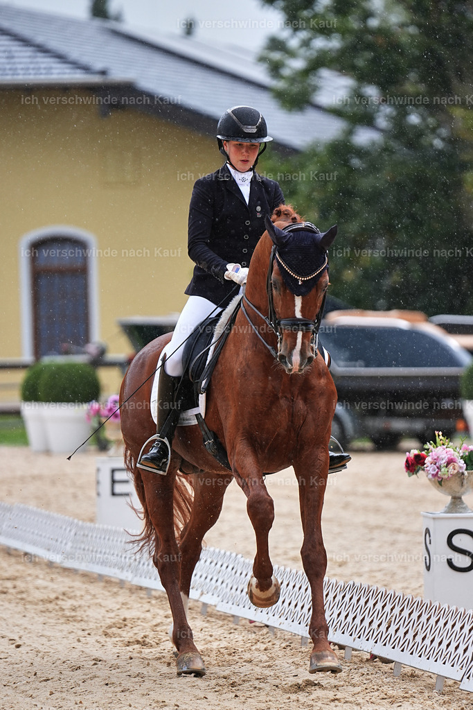 05-223-DRESSUR M_  -Marixx-4954 | working equitationturnier fotograf videograf stoibphotography marixx film working equitation deutschland reitsport turnierfotografie eventfotografie equestrian events