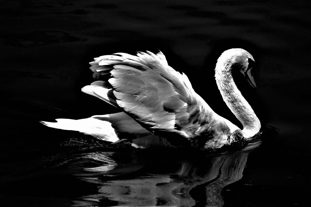 P3780803_e | Annaeherungen - Realisiert mit Pictrs.com