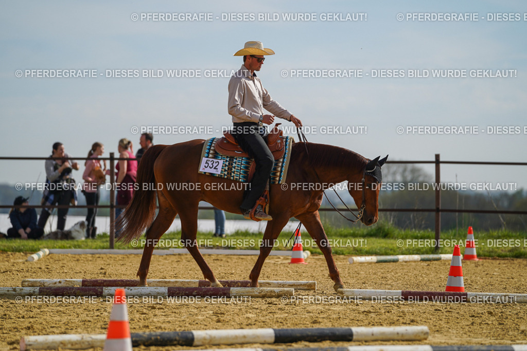 DSC01558 | Pferdegrafie