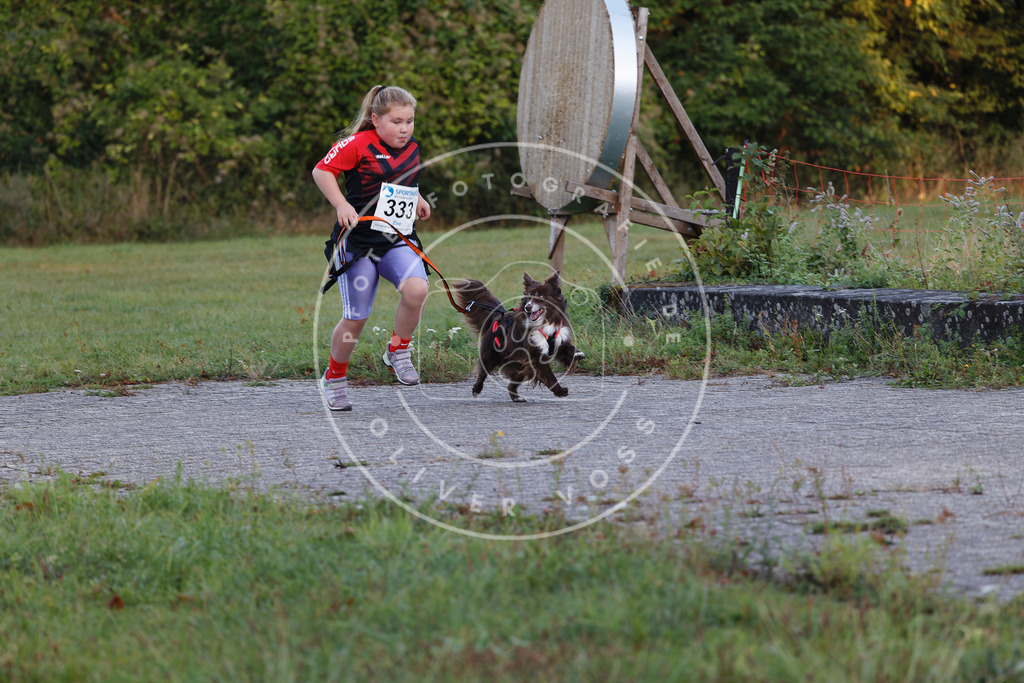 0L8A4264 | Hundefotografie, Tierfotograf, Pfotenfotografie, Fotoshooting Hund, Hunde Portrait, Hundesport, Hundeportraits, Heideshooting, Hunde, Sportfotograf, Hundefotograf, Turnierhundsport, THS,  - Realisiert mit Pictrs.com