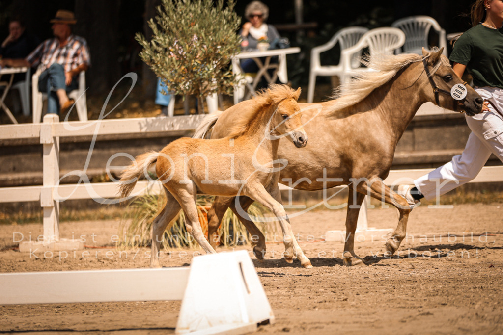 02.DoSR00032 | Leoni Ertmer Photography - Realisiert mit Pictrs.com