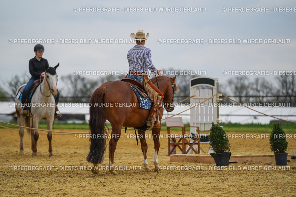 DSC07757 | Pferdegrafie