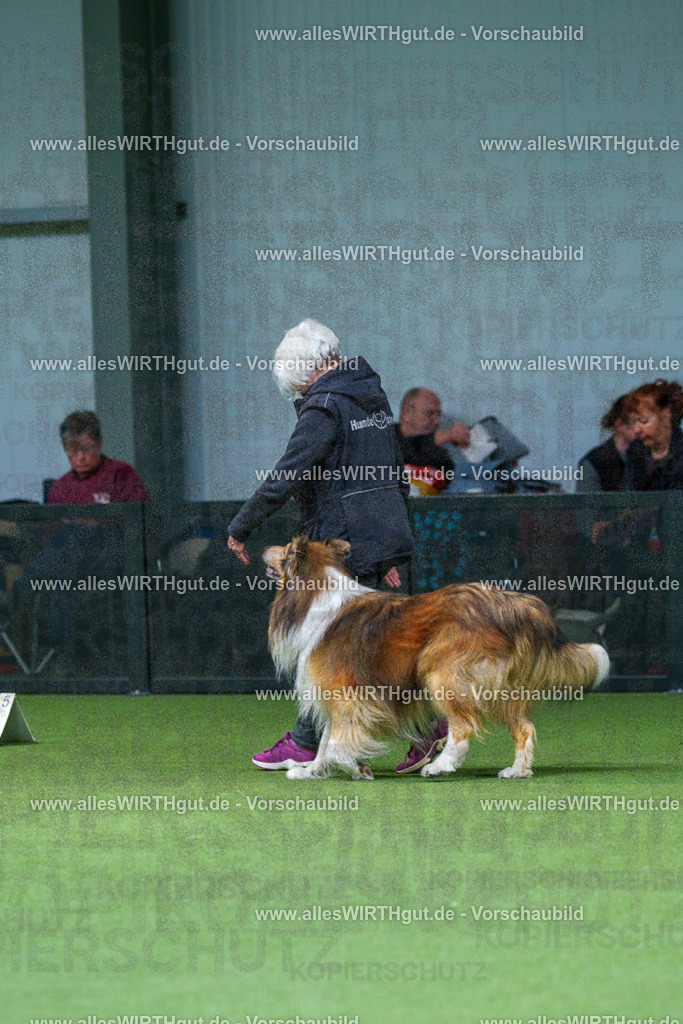 7R506262 | Professionelle Tierfotografie in Mönchengladbach von Daniel Wirth (allesWIRTHgut). Liebevolle & natürliche Bilder von Hunden & Katzen für unvergessliche Erinnerungen.