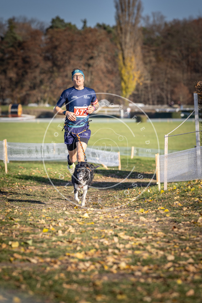 CaniXpix_DV3A0872 | Hundefotografie, Tierfotograf, Pfotenfotografie, Fotoshooting Hund, Hunde Portrait, Hundesport, Hundeportraits, Heideshooting, Hunde, Sportfotograf, Hundefotograf, Turnierhundsport, THS,  - Realisiert mit Pictrs.com