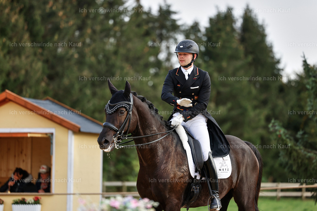 13-229-S___ -StoibPH-6987 | working equitationturnier fotograf videograf stoibphotography marixx film working equitation deutschland reitsport turnierfotografie eventfotografie equestrian events