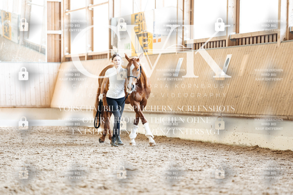 CK907650 | Turnierfotografie Pferdefotografie Trier Rheinland-Pfalz Pferdesport Reitsport Tierfotografie Sportfotografie Pferdevideo Pferdevideografie Equestrianvideography equestrianphotography  - Realisiert mit Pictrs.com
