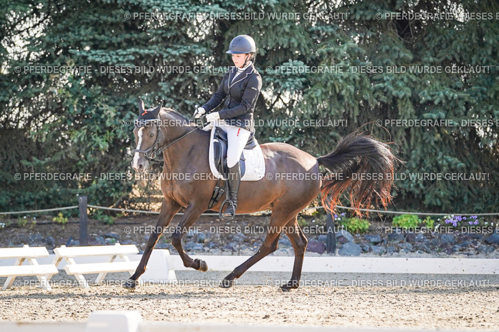 DSC08903 | Pferdegrafie