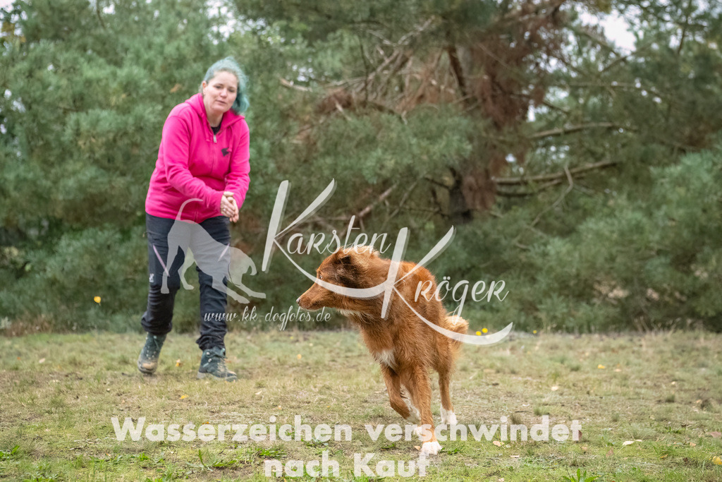 1451_ZZ93621-2-Bearbeitet | kk-dogfotos