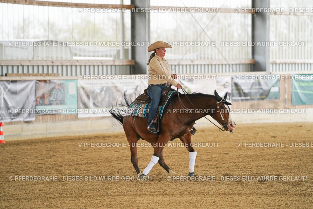 DSC07064 | Pferdegrafie