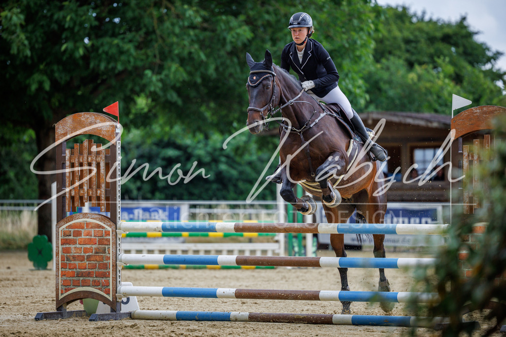20260705-_3LI5123 | Tierfotografie Pferde, Hunde, Katzen, Haustiere.
Turnierfotografie Reitturniere, Reiten, Springreiten, Dressur in Hanau, dem Main-Kinzig-Kreis und dem Rhein-Main- Gebiet um Frankfurt