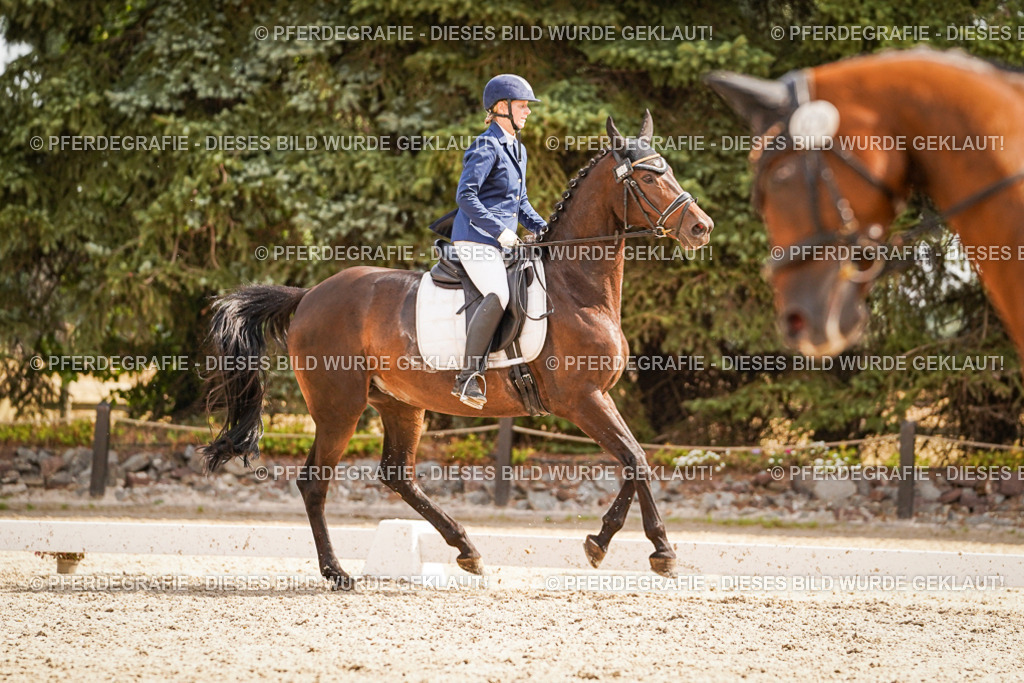 DSC01416 | Pferdegrafie