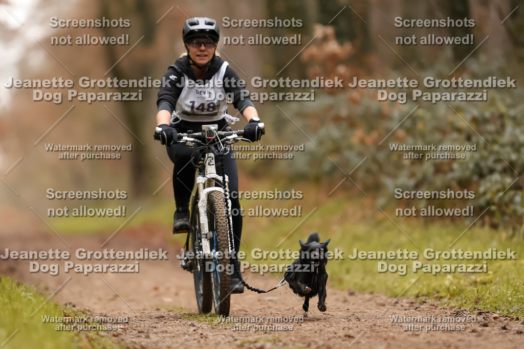 Dog Paparazzi - Speedhunter Mannheim  2025-412 | Dog Paparazzi Jeanette Grottendiek Fotografie & Videografie