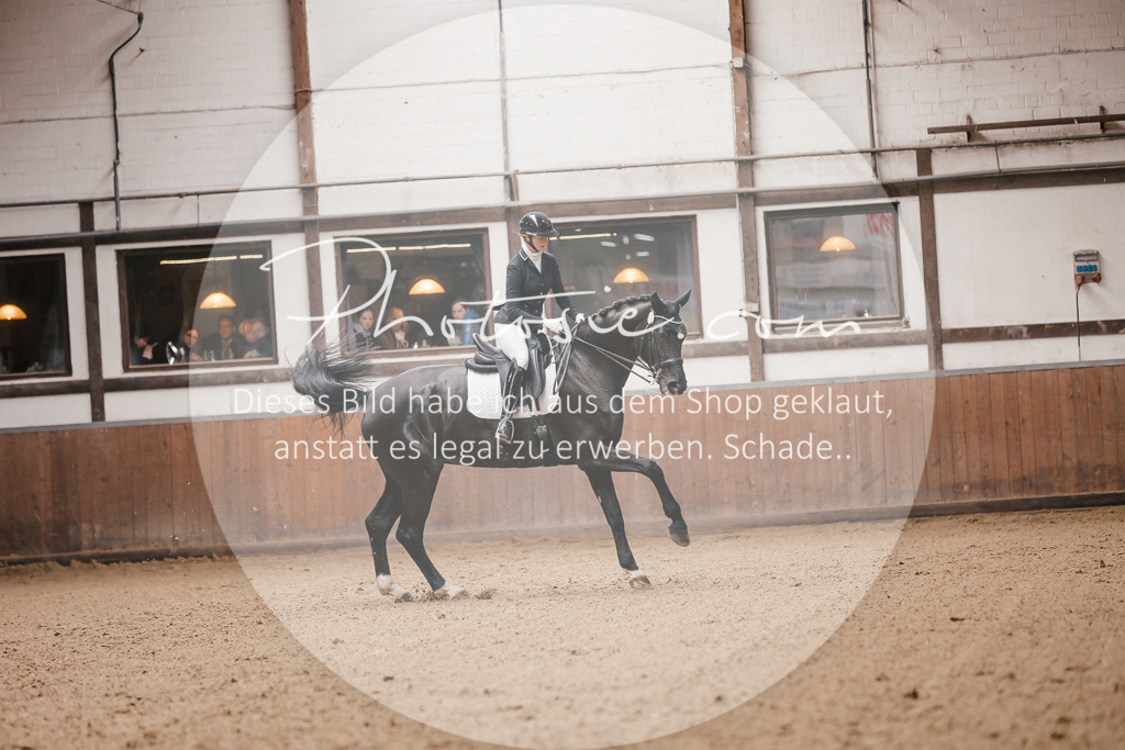 3I6A8990 | Stimmungsvolle Portraits und Reitsportfotografie im Ruhrgebiet und im Münsterland.

Pferdefotografie, Hundefotografie, Tierfotografie, Reportagen, Portraits von Tier und Mensch, Turnierfotografie in Bochum, Recklinghausen, Marl, Haltern am See, Dülmen.. - Realisiert mit Pictrs.com