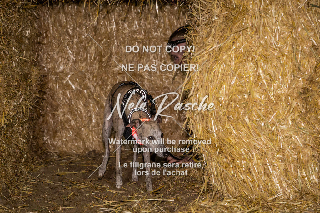 nelerasche_FrNacht_412 | nelerasche