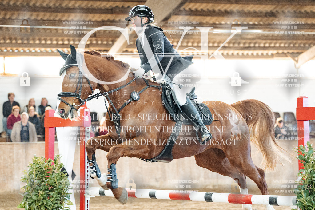 CK904121 | Turnierfotografie Pferdefotografie Trier Rheinland-Pfalz Pferdesport Reitsport Tierfotografie Sportfotografie Pferdevideo Pferdevideografie Equestrianvideography equestrianphotography  - Realized with Pictrs.com