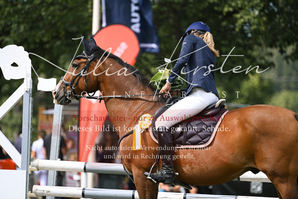 DSC_0687 | Pferde- und Turnierfotografie in Westsachsen. Pferdeportraits, Auftragszeichnungen und intuitive Kunst.