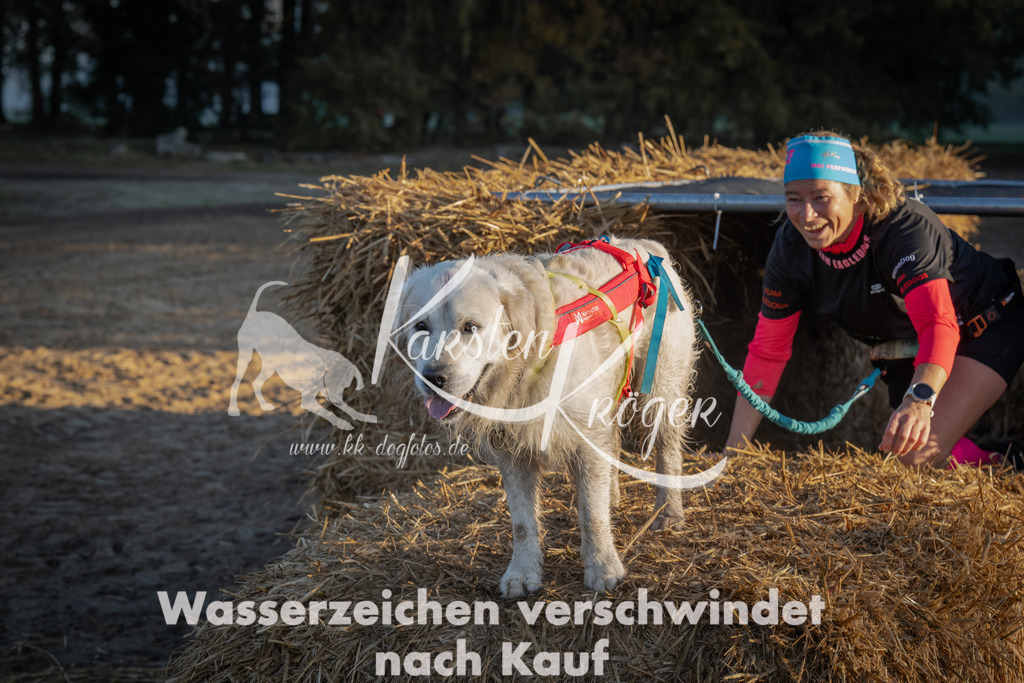 0905_ZZ91167 | kk-dogfotos