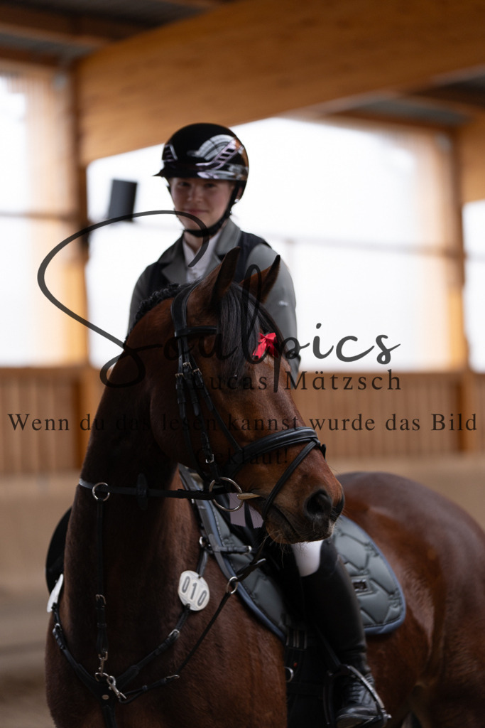 A7507899 | Pferdefotograf