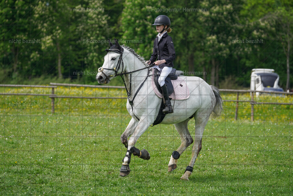 20240509-FAH02716 | Turnierbilder der Turnierfotografen Bayern, Pferdesport Fotografie, Reitsportbilder, Turnier Landberg am Lech, Turnierbilder bayern, Fotoagentur Herrmann