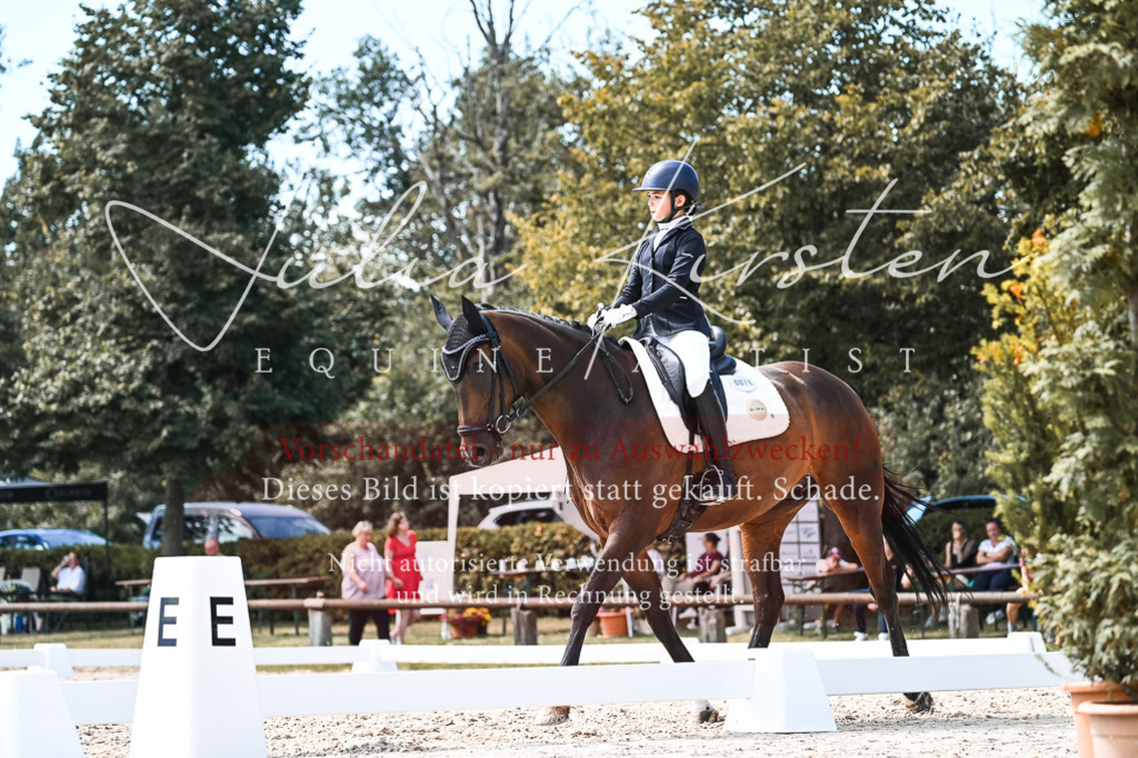 DSC_5767 | Pferde- und Turnierfotografie in Westsachsen. Pferdeportraits, Auftragszeichnungen und intuitive Kunst.