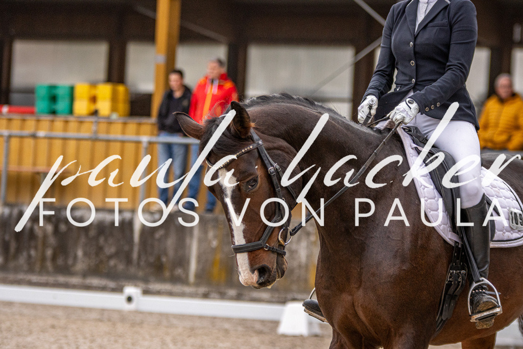 IMG_2876 | Erleben Sie dynamische Sport- und emotionale Tierfotografie in Süddeutschland mit Fotos von Paula. Spezialisiert auf Pferde- und Hundefotografie sowie Sportevents. Kontaktieren Sie mich für einzigartige und ausdrucksstarke Bilder Ihrer besonderen Momente. - Realisiert mit Pictrs.com