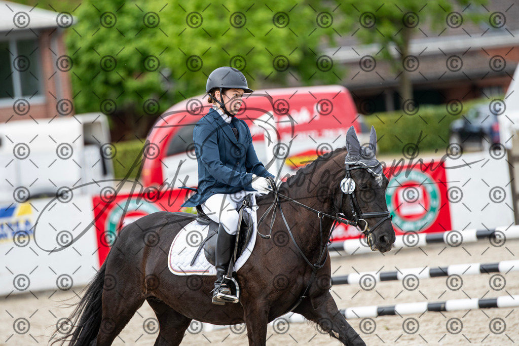 KPT_6239 | andre_photographic