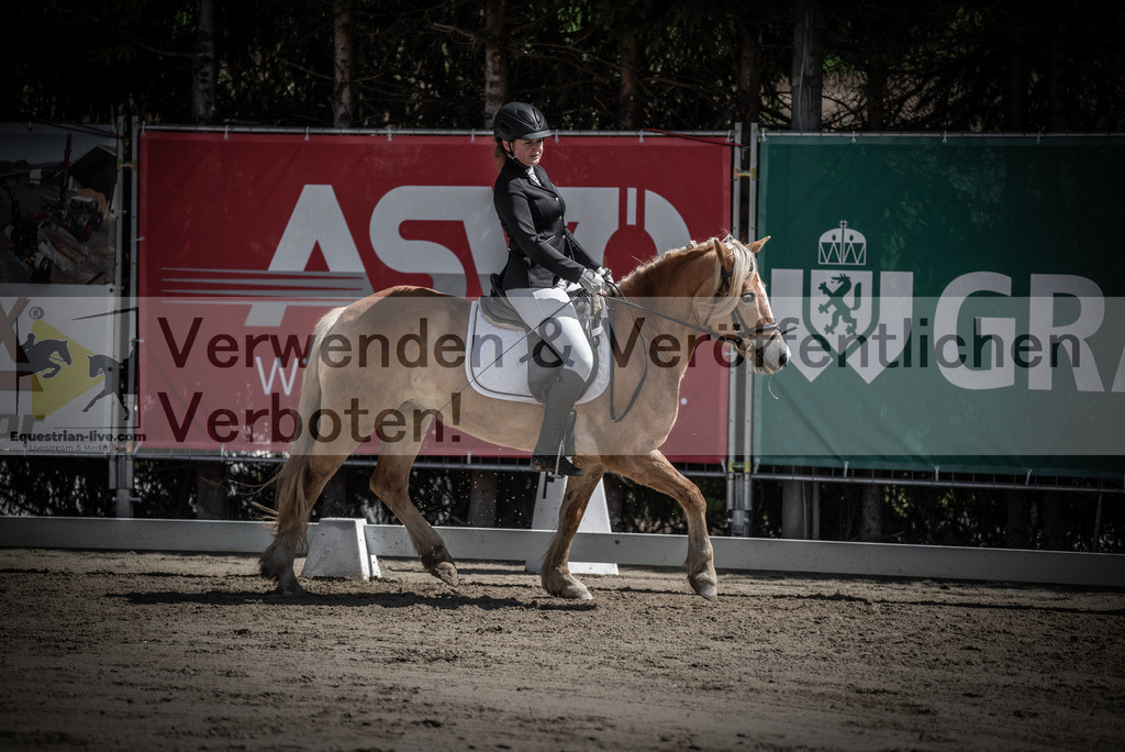 DSC_0649 | equestrian-live-com