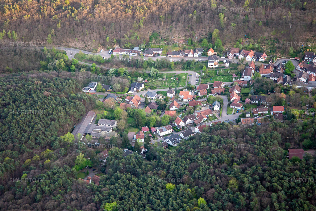 Luftbild: In d. Zell in Dörrenbach im Bundesland Rheinland-Pfalz in Deutschland. Foto: IMG_140243.jpg vom 11.04.2024 durch Werner Riehm/FLY-FOTO.de