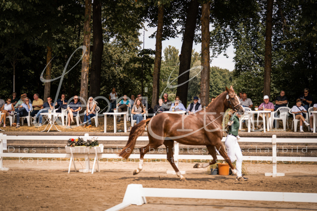 3.Fr00067 | Leoni Ertmer Photography - Realisiert mit Pictrs.com