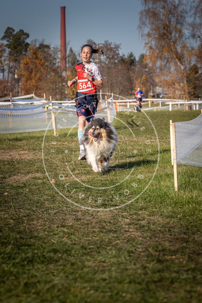CaniXpix_0L8A7901 | Hundefotografie, Tierfotograf, Pfotenfotografie, Fotoshooting Hund, Hunde Portrait, Hundesport, Hundeportraits, Heideshooting, Hunde, Sportfotograf, Hundefotograf, Turnierhundsport, THS,  - Realisiert mit Pictrs.com
