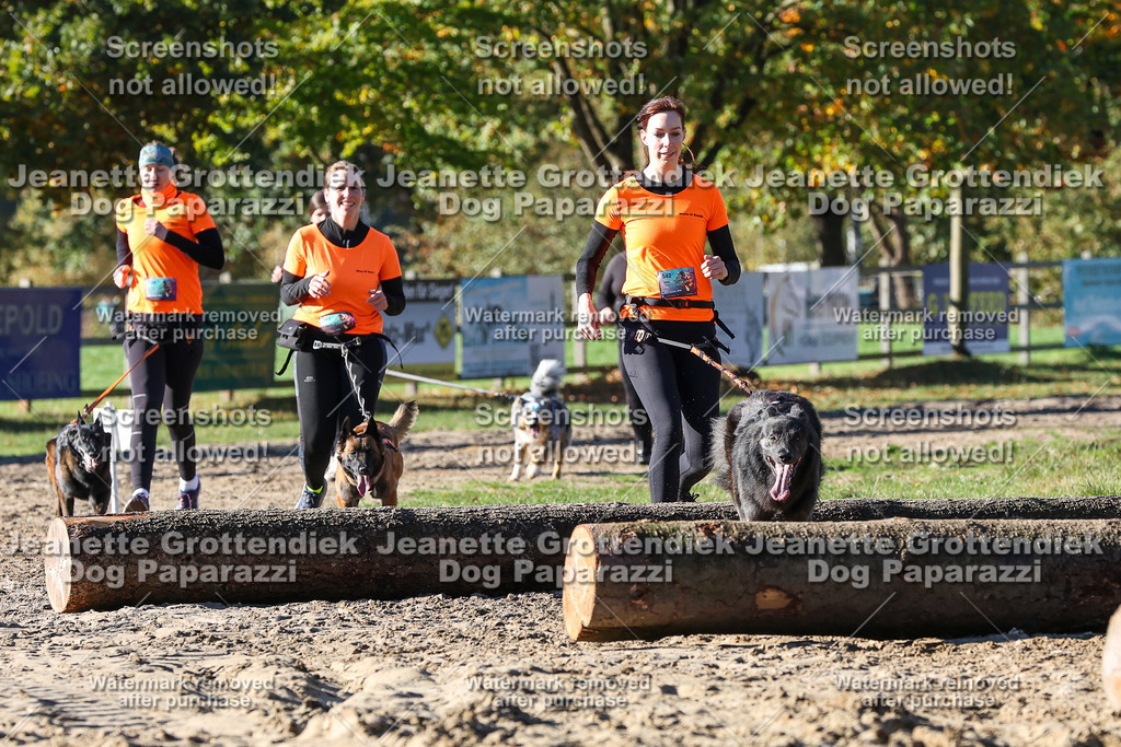 Dog Paparazzi - Strongdog 10-25-2016 | Dog Paparazzi Jeanette Grottendiek Fotografie & Videografie - Realisiert mit Pictrs.com