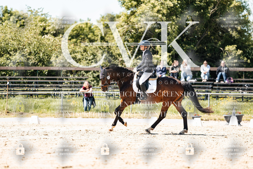 CK905667 | Turnierfotografie Pferdefotografie Trier Rheinland-Pfalz Pferdesport Reitsport Tierfotografie Sportfotografie Pferdevideo Pferdevideografie Equestrianvideography equestrianphotography  - Realisiert mit Pictrs.com