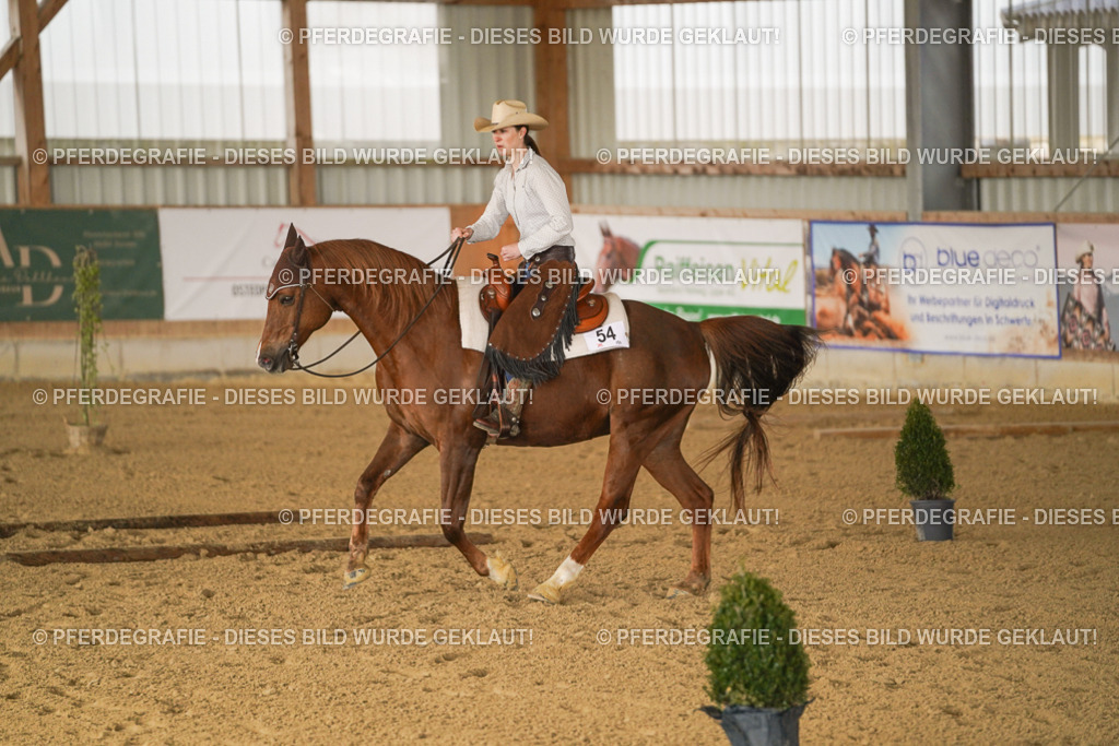 DSC01548 | Pferdegrafie