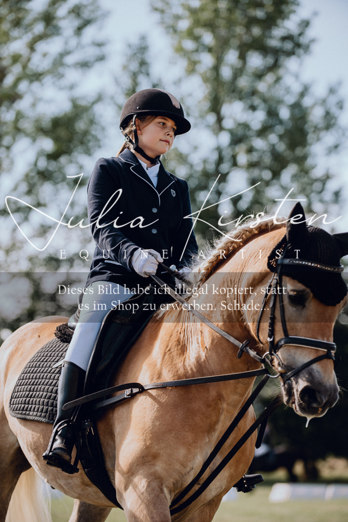 DSC_6934 | Pferde- und Turnierfotografie in Westsachsen. Pferdeportraits, Auftragszeichnungen und intuitive Kunst.