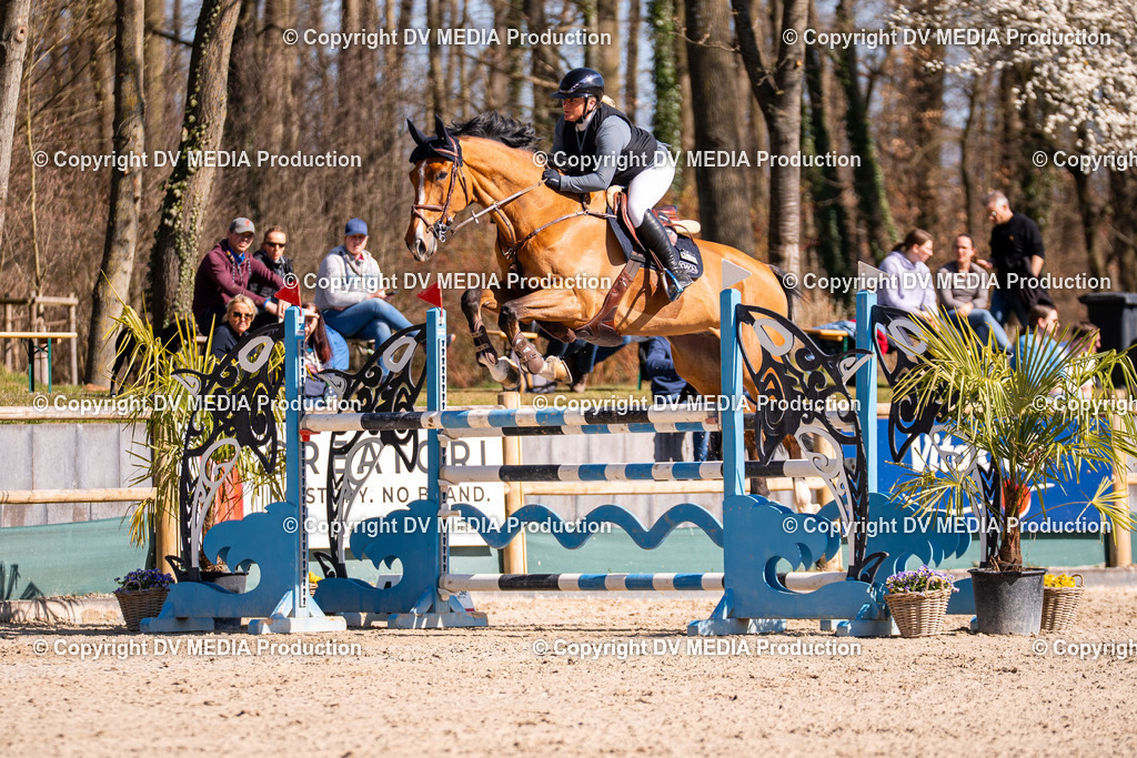 Kranichstein Tag 2-820 | dv-media-shop - Realisiert mit Pictrs.com