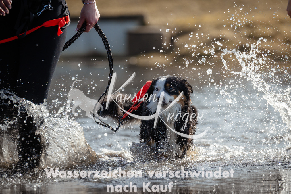 1059_ZZ91192 | kk-dogfotos