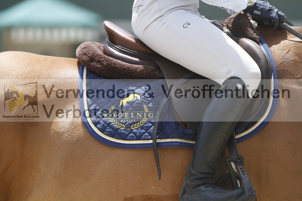 _MG_4237 | equestrian-live-com