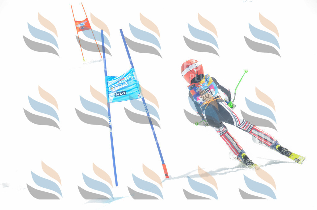 _ELE6924 | holidayphoto