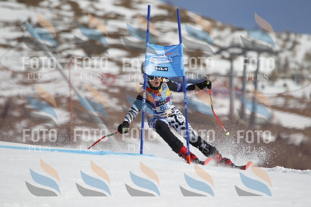 _U3G0116 | holidayphoto