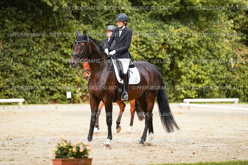 DSC01856 | Pferdegrafie