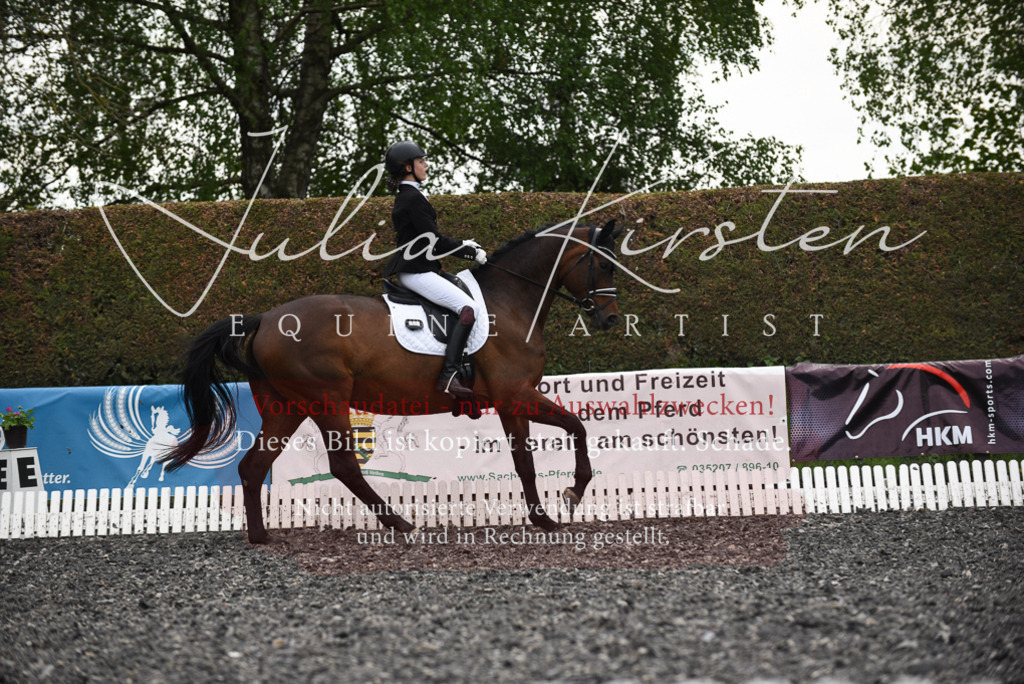 20230513_JK-Röhrsdorf-16-066 | Pferde- und Turnierfotografie in Westsachsen. Pferdeportraits, Auftragszeichnungen und intuitive Kunst.