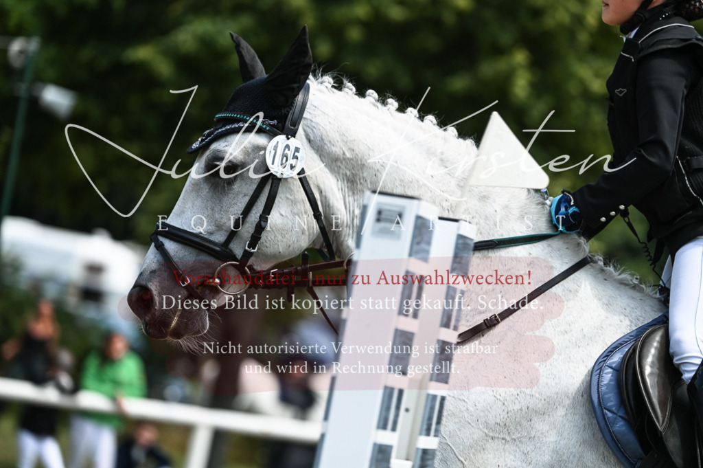 DSC_9829 | Pferde- und Turnierfotografie in Westsachsen. Pferdeportraits, Auftragszeichnungen und intuitive Kunst.