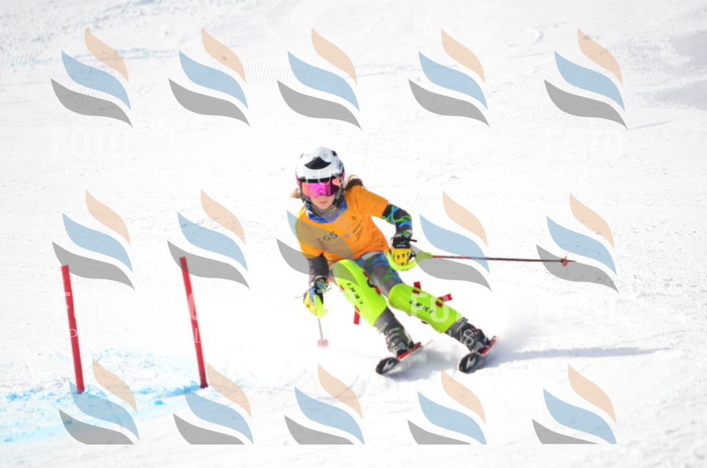 C7855 | holidayphoto