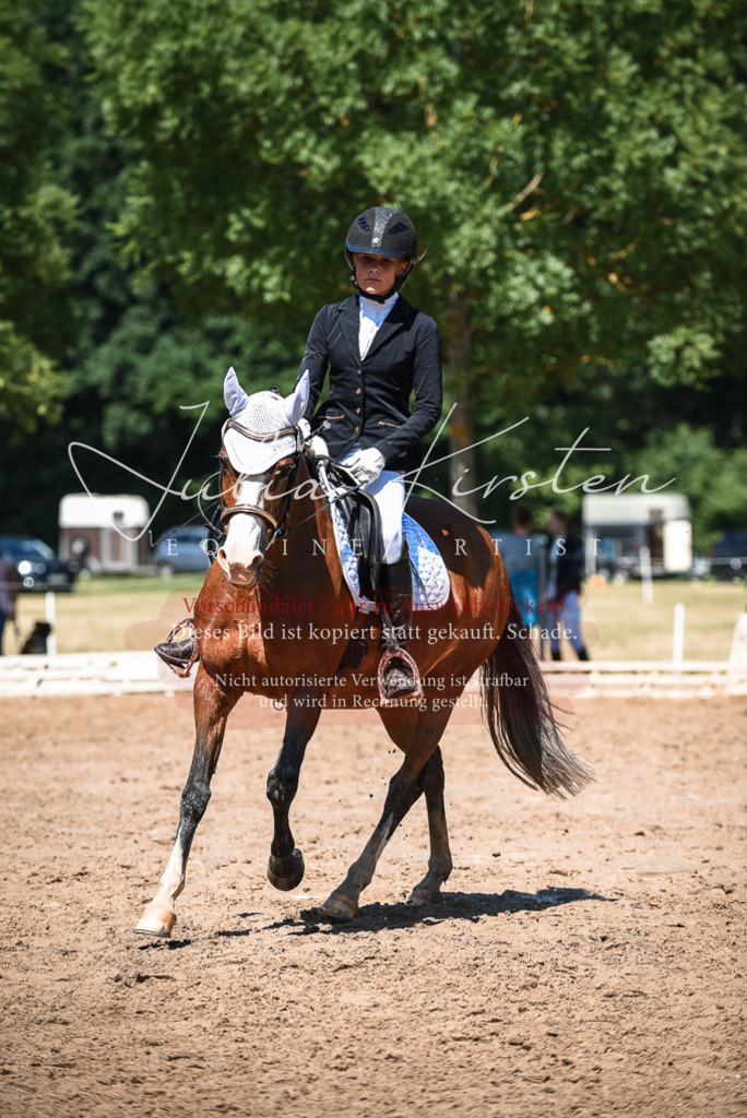 DSC_3183 | Pferde- und Turnierfotografie in Westsachsen. Pferdeportraits, Auftragszeichnungen und intuitive Kunst.
