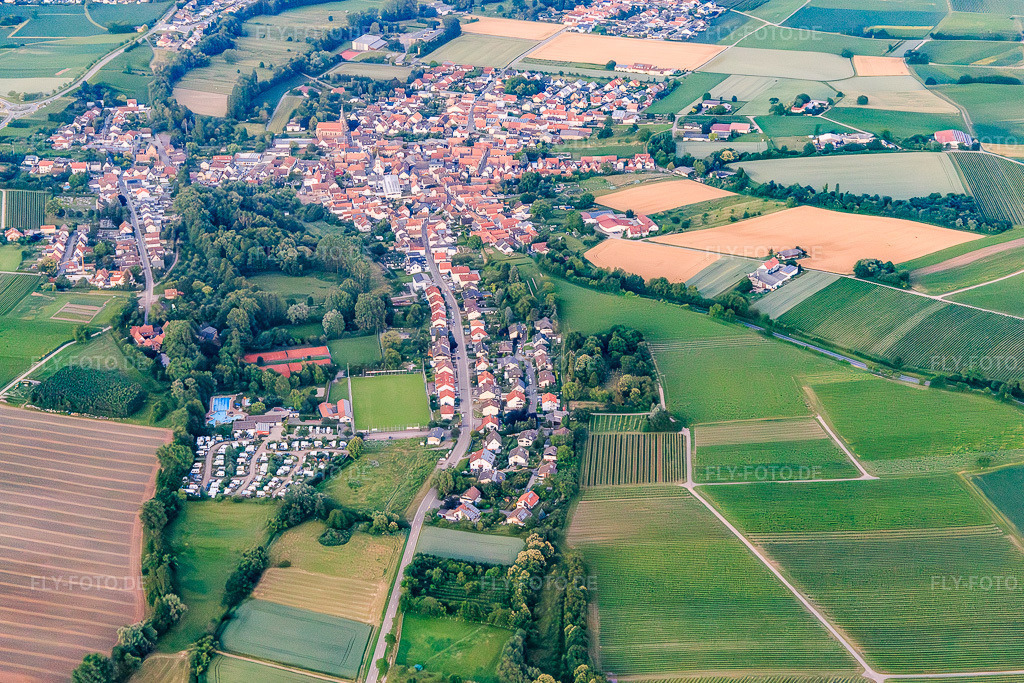Luftbild: Ortsansicht am Klingbachtal im Abendlicht aus Westen im Ortsteil Ingenheim in Billigheim-Ingenheim im Bundesland Rheinland-Pfalz in Deutschland. Foto: IMG_115610.jpg vom 21.06.2019 durch Werner Riehm/FLY-FOTO.de