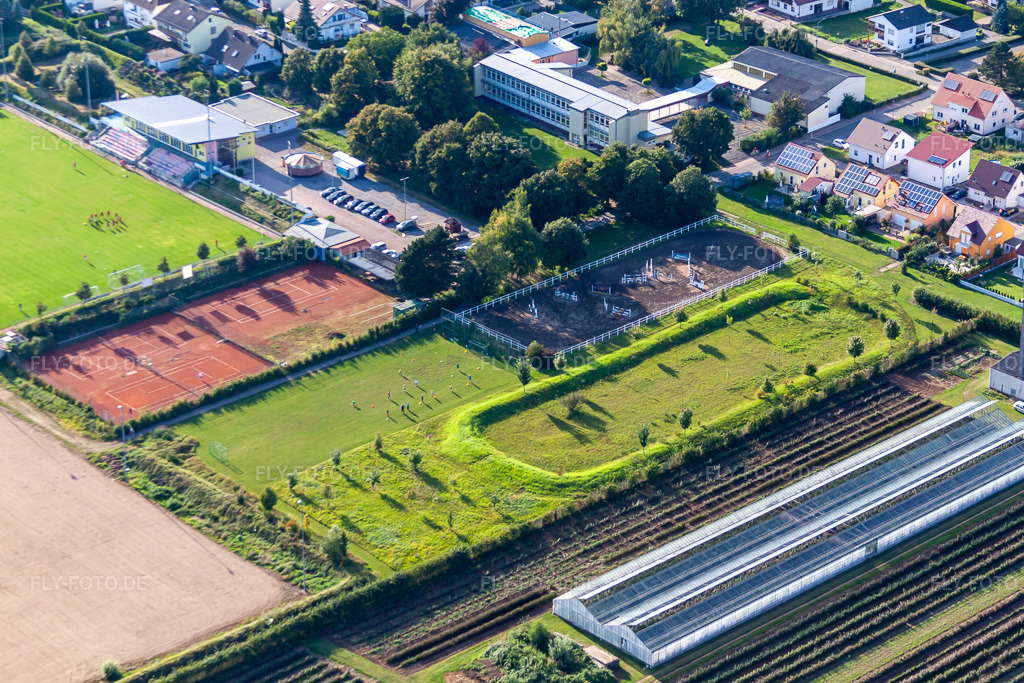 Luftbild: SV Weingarten, Tennsiclub und Bolzplatz in Weingarten im Bundesland Rheinland-Pfalz in Deutschland. Foto: IMG_71048.jpg vom 27.08.2014 durch Werner Riehm/FLY-FOTO.de