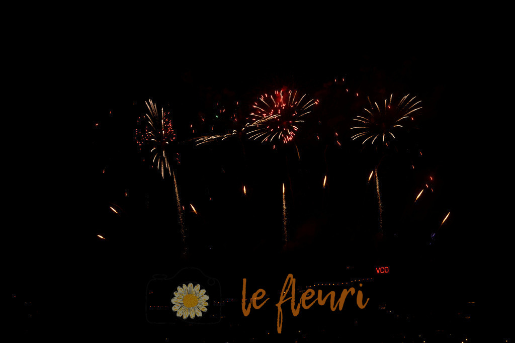 Vogelherdclub | Dies ist der Shop von Florian Blum - le fleuri. Langenthal, Bern, Schweiz. Sie können hier meine oder ihre eigenen Fotos als Fotoprodukte kaufen. Tassen, Schlüsselanhänger, Taschen etc. können Sie hier gestalten.  - Realisiert mit Pictrs.com